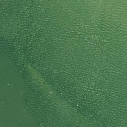 Satellite imagery of Te Kauri Point, NZ