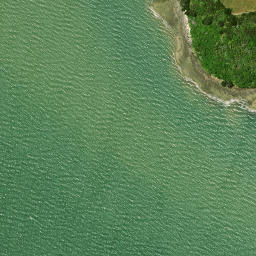 Satellite imagery of Te Kauri Point, NZ