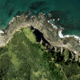 Satellite imagery of Okakari Point, NZ