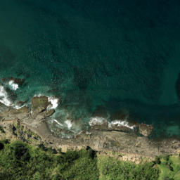 Satellite imagery of Okakari Point, NZ