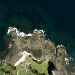 Satellite imagery of Okakari Point, NZ