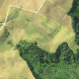 Satellite imagery of Te Ta Point, NZ