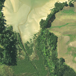 Satellite imagery of Te Ta Point, NZ