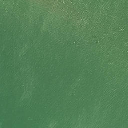 Satellite imagery of Ru Point, NZ