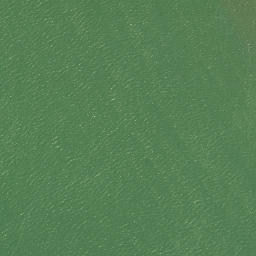 Satellite imagery of Ru Point, NZ
