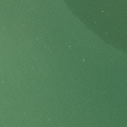 Satellite imagery of Te Kauri Point, NZ
