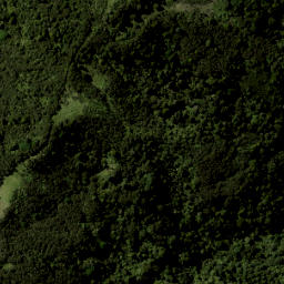 Satellite imagery of 1887, NZ