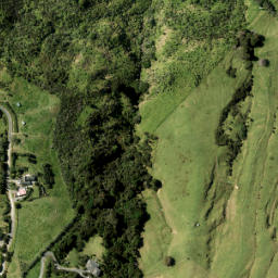Satellite imagery of Okakari Point, NZ