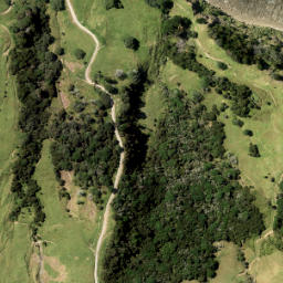 Satellite imagery of Okakari Point, NZ