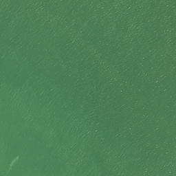 Satellite imagery of Ru Point, NZ
