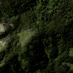 Satellite imagery of 1887, NZ