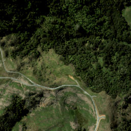 Satellite imagery of 1887, NZ