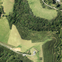 Satellite imagery of Cape Rodney, NZ