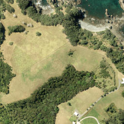 Satellite imagery of Cape Rodney, NZ