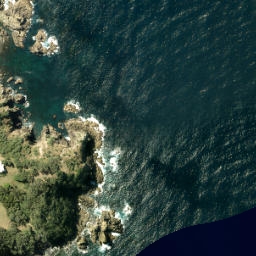 Satellite imagery of Cape Rodney, NZ