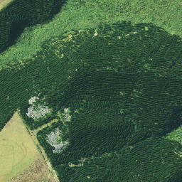 Satellite imagery of Te Rewarewa, NZ