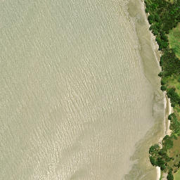 Satellite imagery of Motukumara Point, NZ