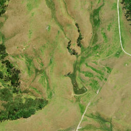 Satellite imagery of Motukumara Point, NZ