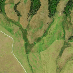 Satellite imagery of Motukumara Point, NZ