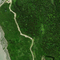 Satellite imagery of Gittos Point, NZ