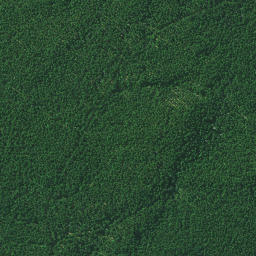 Satellite imagery of MUARANGI NO 2, NZ