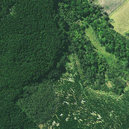Satellite imagery of MUARANGI NO 2, NZ