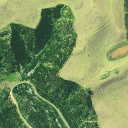 Satellite imagery of Rangitane Pa, NZ