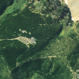 Satellite imagery of Te Rewarewa, NZ