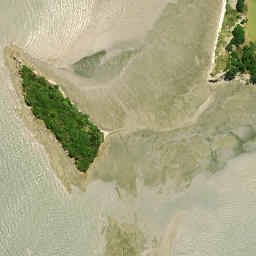 Satellite imagery of Motukumara Point, NZ