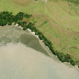 Satellite imagery of Motukumara Point, NZ