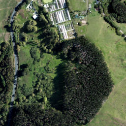 Satellite imagery of 3331, NZ