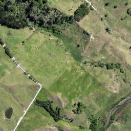 Satellite imagery of 3331, NZ
