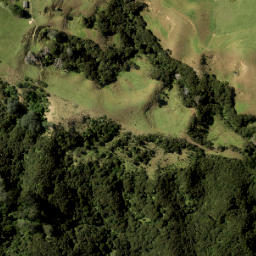 Satellite imagery of 3421, NZ