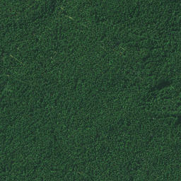 Satellite imagery of Rangitane Pa, NZ