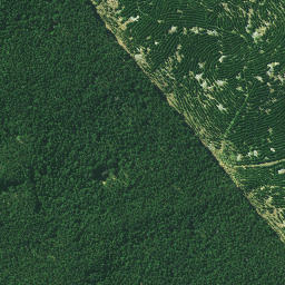 Satellite imagery of Rangitane Pa, NZ