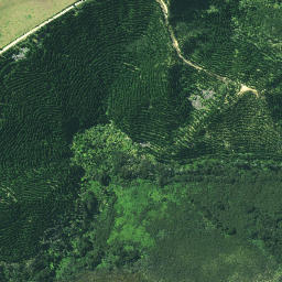 Satellite imagery of Toetoe Point, NZ