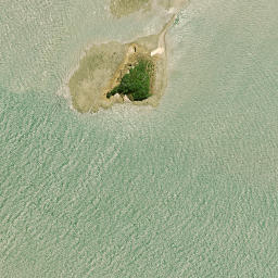 Satellite imagery of Motukumara Point, NZ