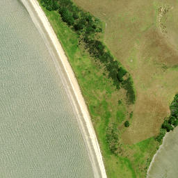 Satellite imagery of Motukumara Point, NZ