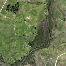 Satellite imagery of 3331, NZ