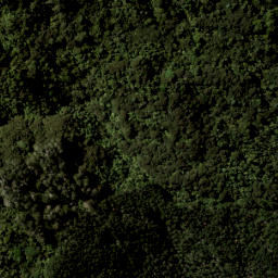 Satellite imagery of 3421, NZ