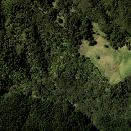 Satellite imagery of 3421, NZ