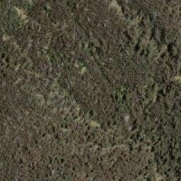 Satellite imagery of Sma 1083, AU