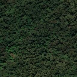 Satellite imagery of Mount Dromedary, AU