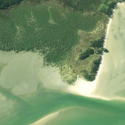 Satellite imagery of Pareotaunga Point, NZ
