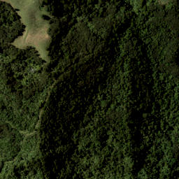 Satellite imagery of III TAMAHUNGA, NZ
