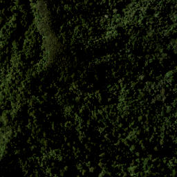 Satellite imagery of III TAMAHUNGA, NZ