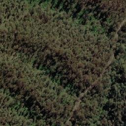 Satellite imagery of Scammels Lookout, AU