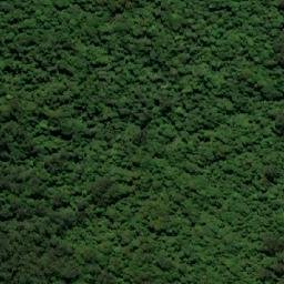 Satellite imagery of Mount Gulaga, AU