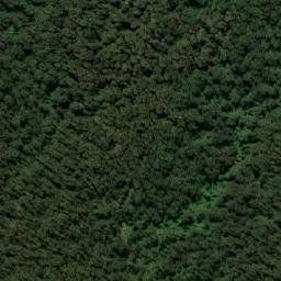 Satellite imagery of Mount Dromedary, AU