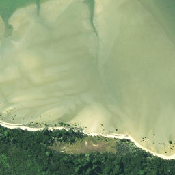 Satellite imagery of Pareotaunga Point, NZ